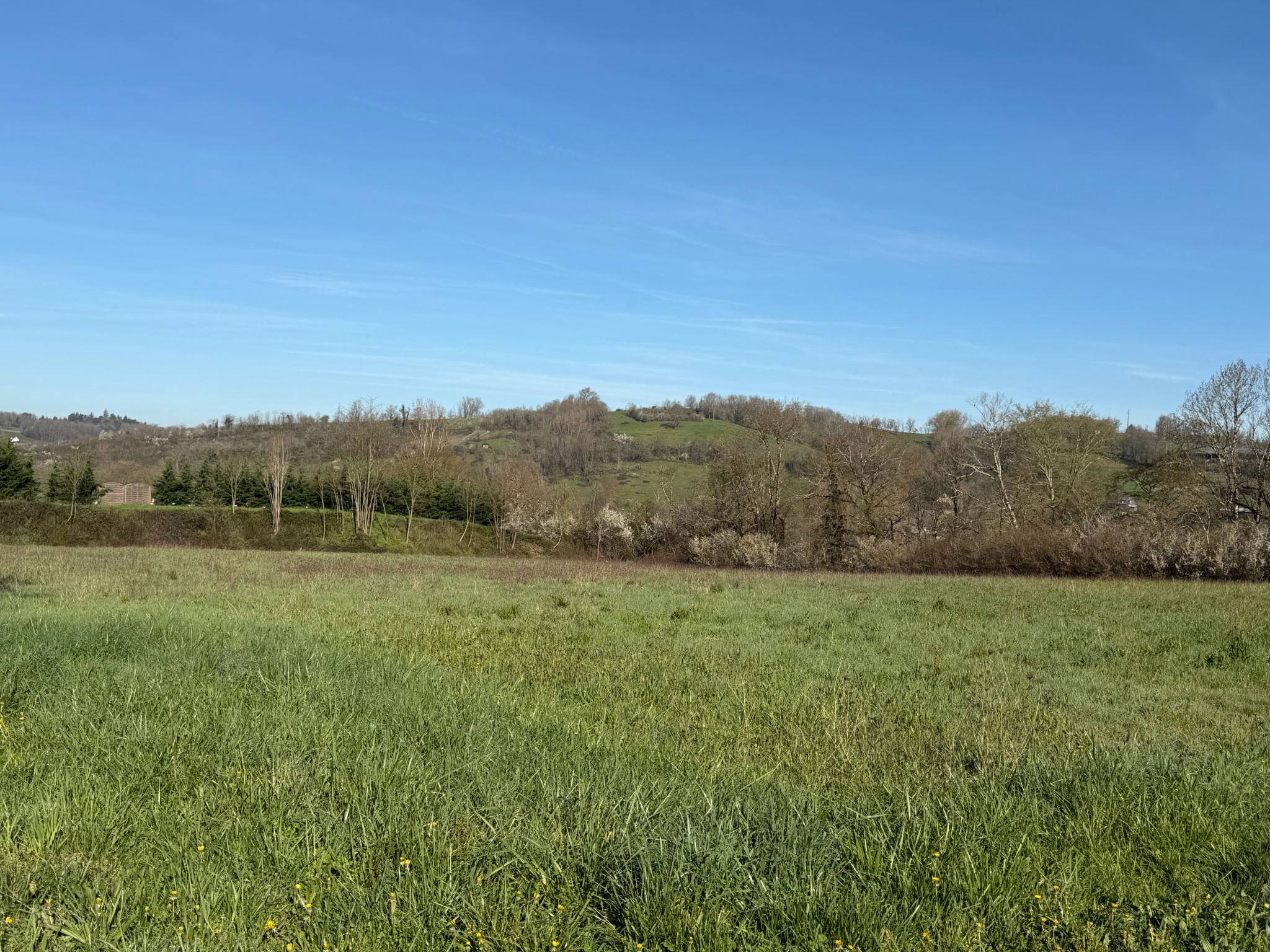 Agence immobilière de PONT CARDINAL IMMOBILIER