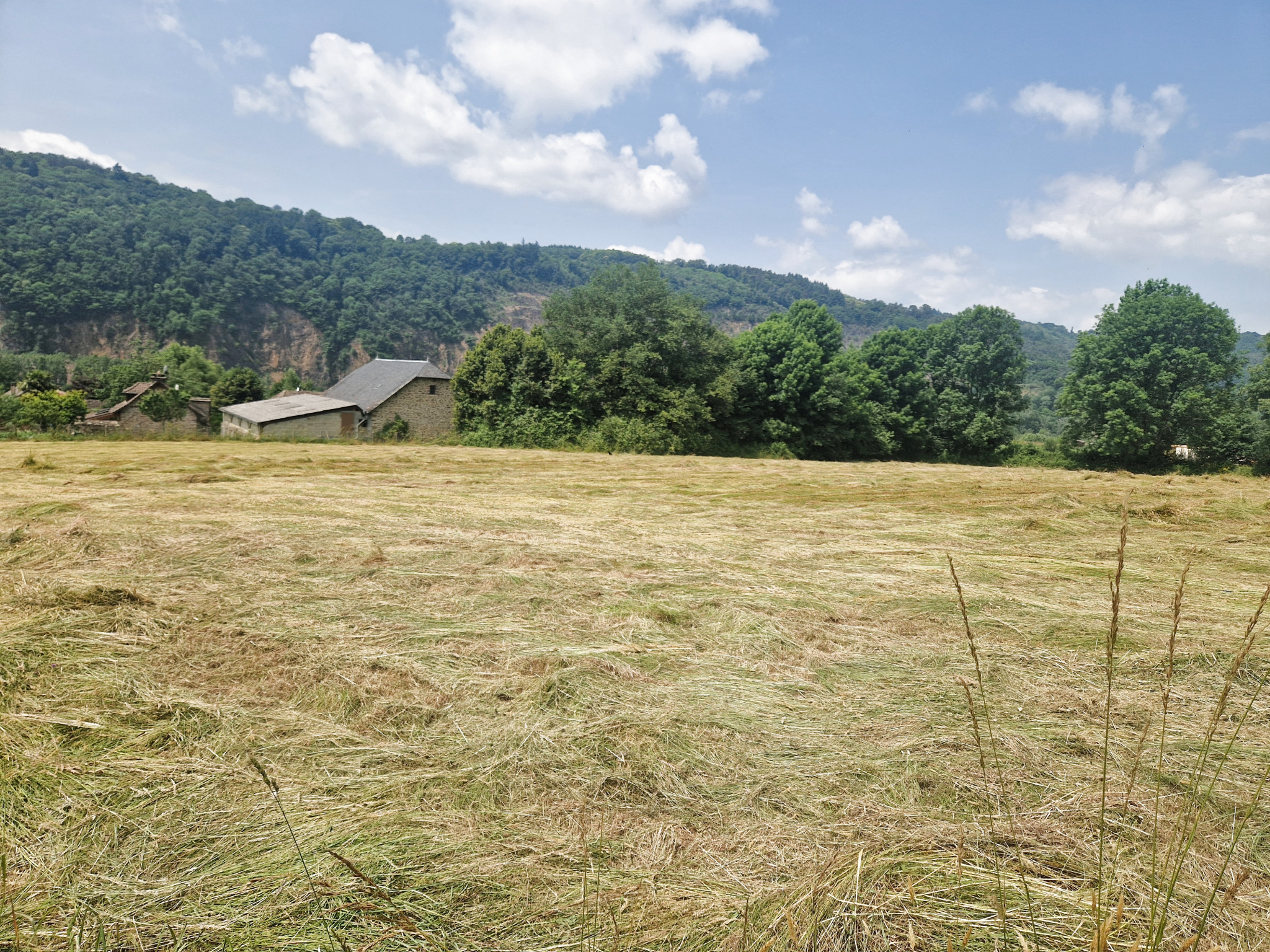 Agence immobilière de PONT CARDINAL IMMOBILIER